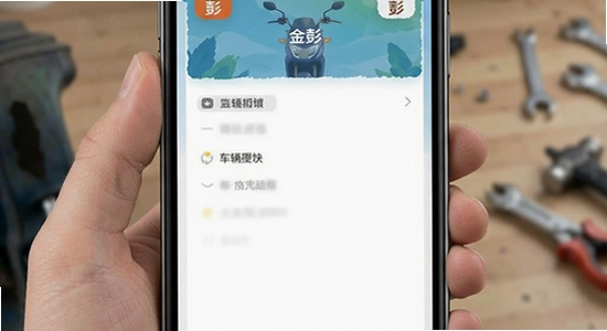 金彭app车辆管理界面示意图