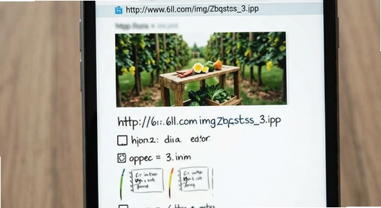 http://www.6ll.com/img/zbqstcss_3.jpg