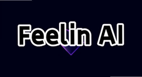 Feelin AI �ٷ����� ��ȫ���� ����