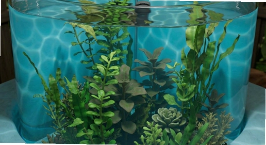 https://img.6ll.com/ultrapool_003.jpg