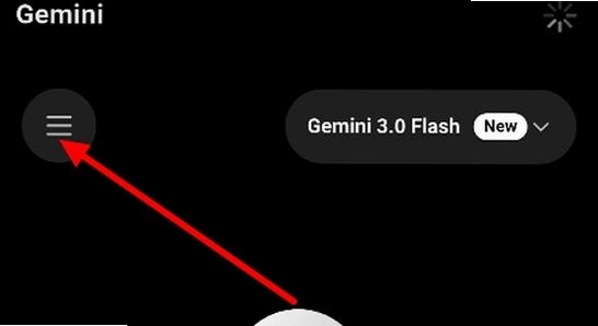 gemini3.0 安卓安装包 官方正版 识别