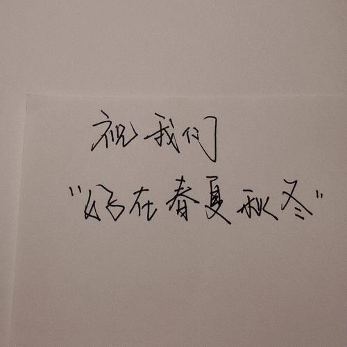 �����¼�ٷ�������v2026.08.28 ��������