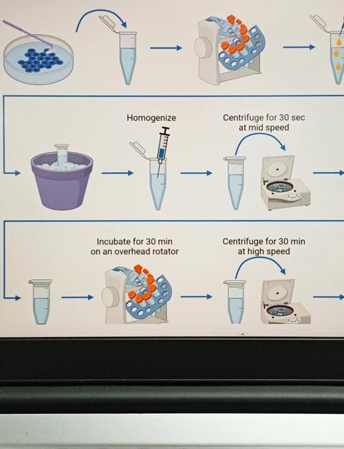 ChemBioDraw Ultra�ٷ������ؽ�ͼ
