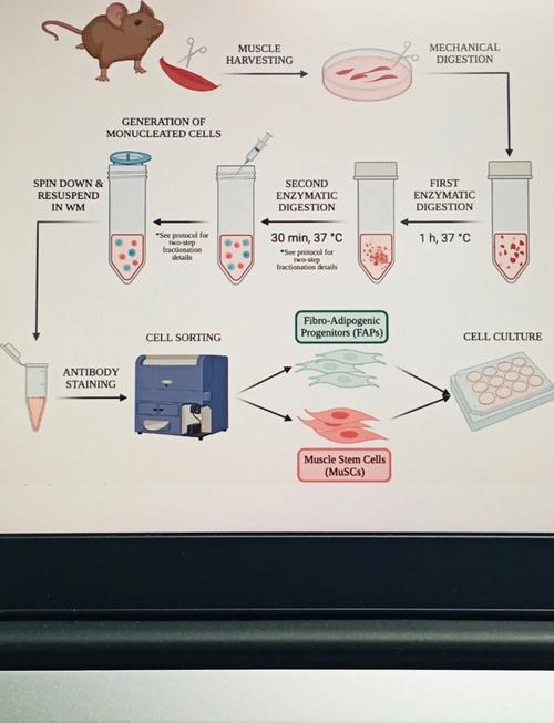 ChemBioDraw Ultra�ٷ������ؽ�ͼ