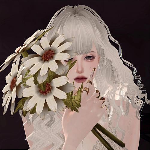 IMVU�ٷ�������2026 �ٷ�����