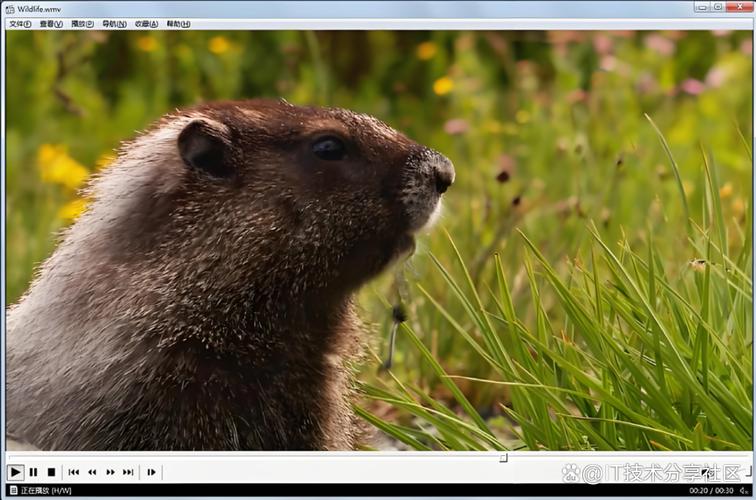 MPC-HCMedia Player Classic Home Cinema�ٷ�������v1.7.13 �ٷ�����
