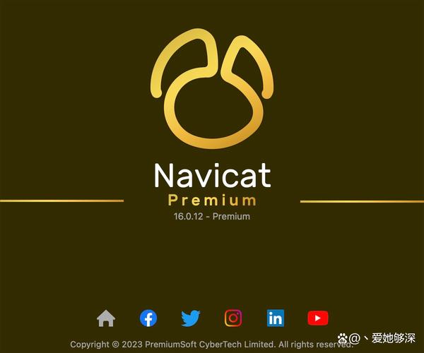 Navicat Premium���԰����ؽ�ͼ