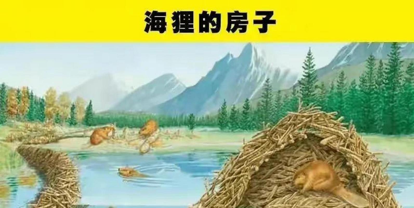 �����ǽ��ٷ�������v3.0.8 �ǻ۽���