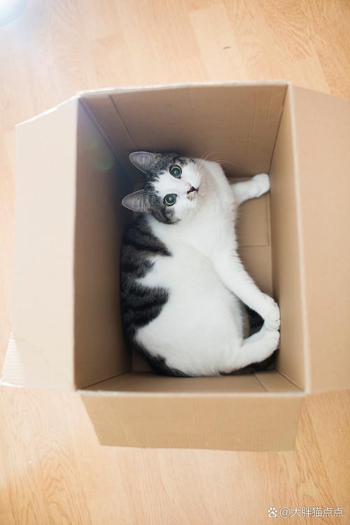 �о�����FeelBox��׿�����ؽ�ͼ