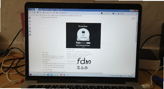 fdm��������ô��
