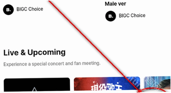 bigc׷�������ֻ�������������ô��,ɫ�ʷḻ,��ˮӡ,����ͼ