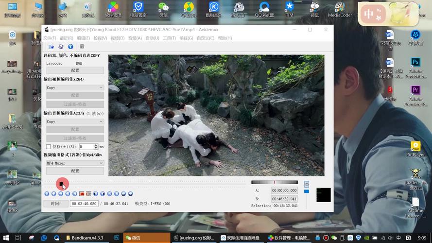 Avidemux�ٷ������ؽ�ͼ