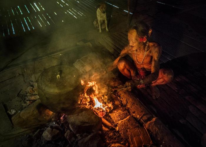 ���Ų���Mina Tribe�ٷ�������v1.1.36 �ٷ�����