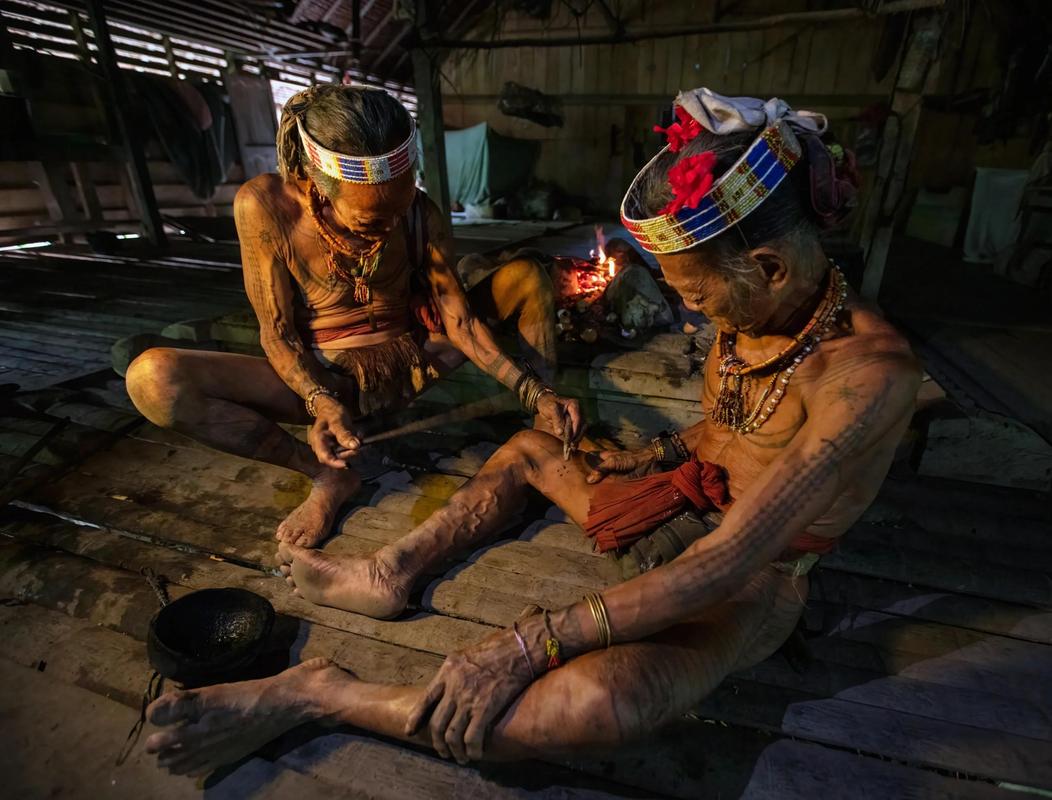 ���Ų���Mina Tribe�ٷ�������v1.1.36 �ٷ�����