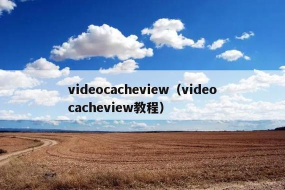 VideoCacheView��Ƶ����鿴���߹ٷ������ؽ�ͼ