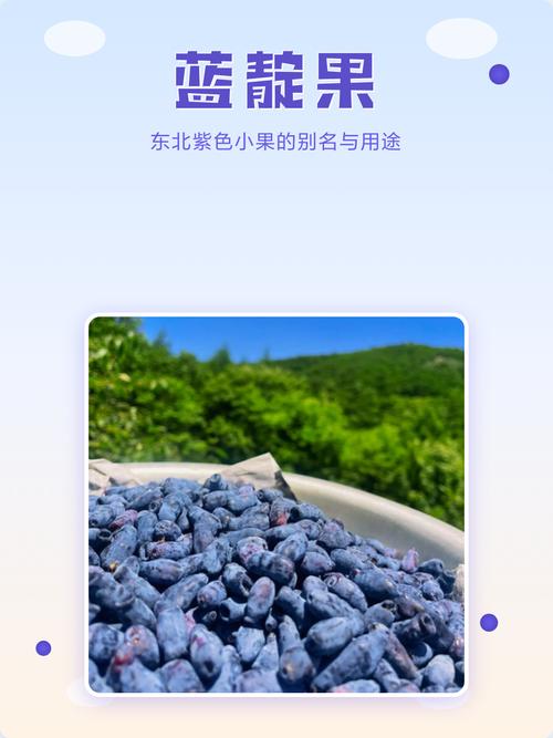��С��PXG�ٷ�������v2.0.45 �����