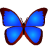 bkViewer�ٷ�������v2.5.7 �ٷ�����
