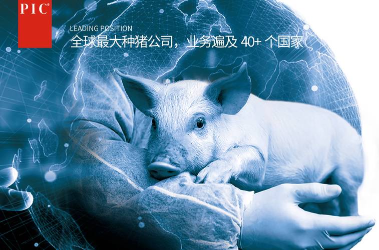 ��ũ�����ٷ�������v1.0.2 �ǻ�ũҵ����