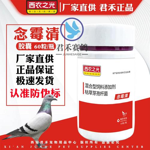 ����Saixin�ٷ������ؽ�ͼ