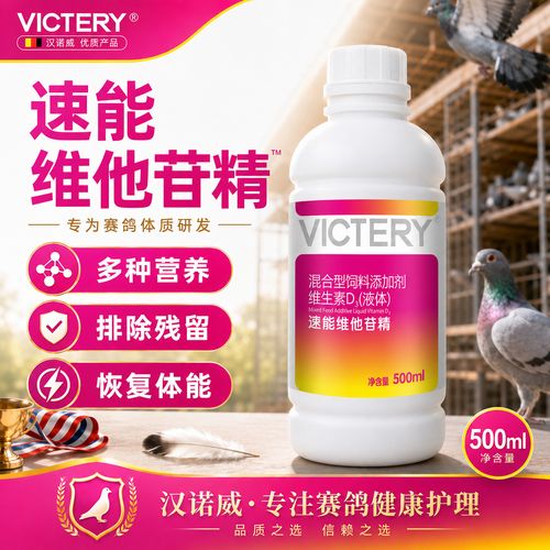 ����Saixin�ٷ������ؽ�ͼ