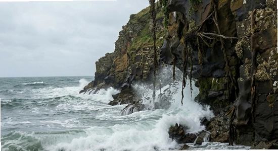 http://www.6ll.com/images/tidewallpaper3.jpg