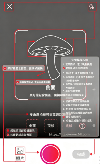蘑菇识别扫一扫最新版下载(PictureThis) 蘑菇识别扫一扫最新版下载(PictureThis)