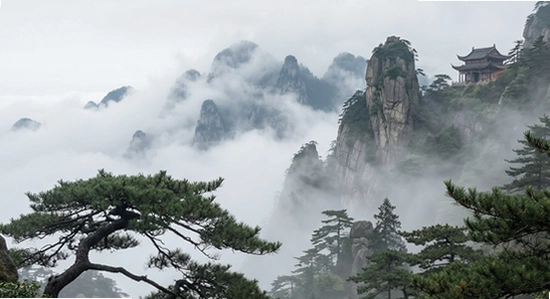 qinyun_001.jpg