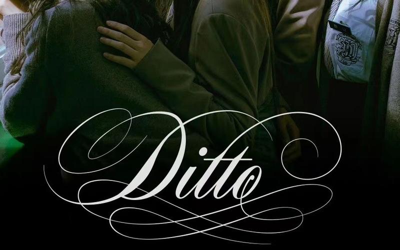 Ditto�ٷ������ؽ�ͼ