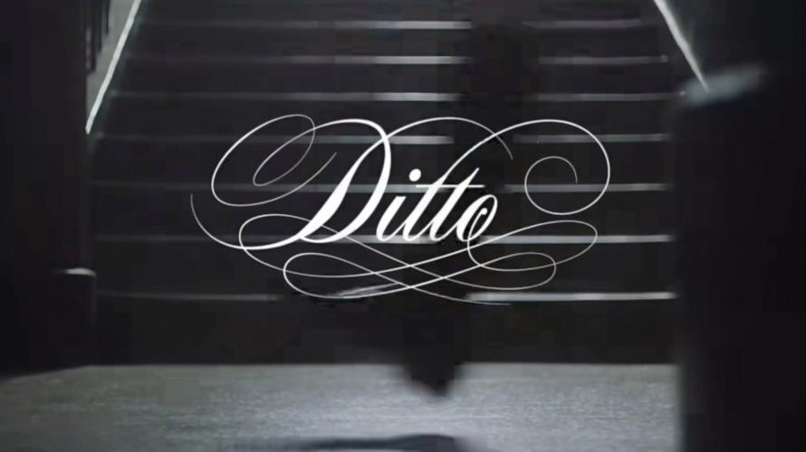 Ditto�ٷ������ؽ�ͼ