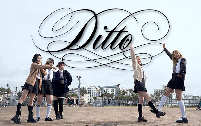Ditto�ٷ������ؽ�ͼ