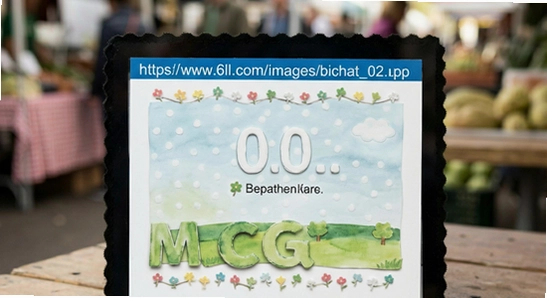 https://www.6ll.com/images/bichat_02.jpg