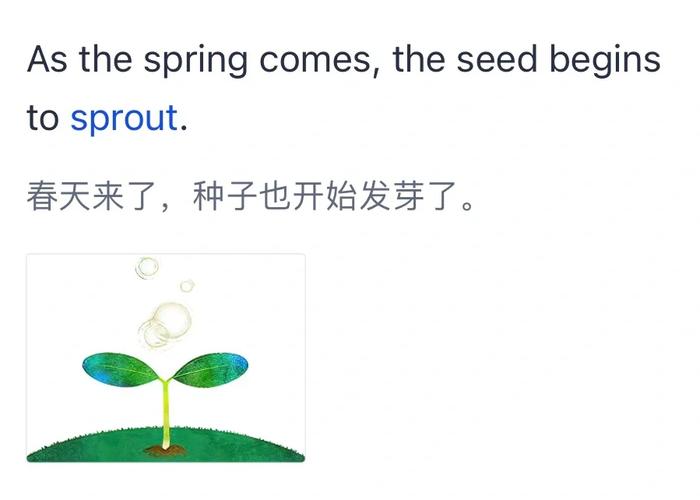 ��ѿӢ��Lingo Word�ٷ����ؽ�ͼ