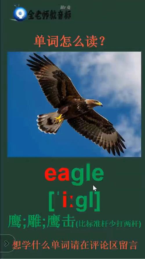 Eagle�ٷ�������4.0 �ٷ�����