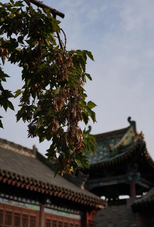 ���糩�ιٷ������ؽ�ͼ