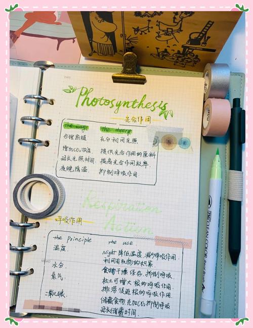BookxNoteѧϰ�ʼǹٷ������ؽ�ͼ