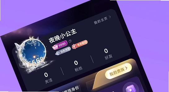 洋洋语音平台 权限设置 安装包 下载