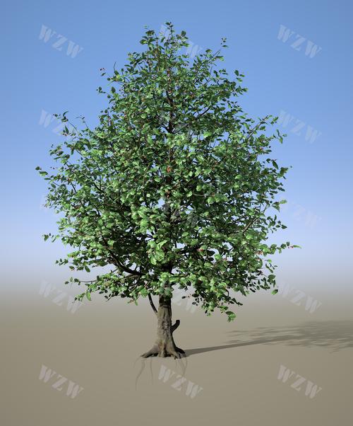 TreeSize Free�ٷ������ؽ�ͼ