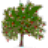 WinDirStat�ٷ�������1.8.0 �ٷ�����