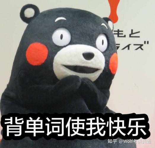 我爱背单词官方版下载截图