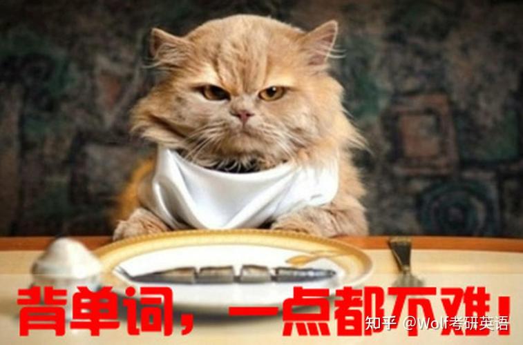 我爱背单词官方版下载截图
