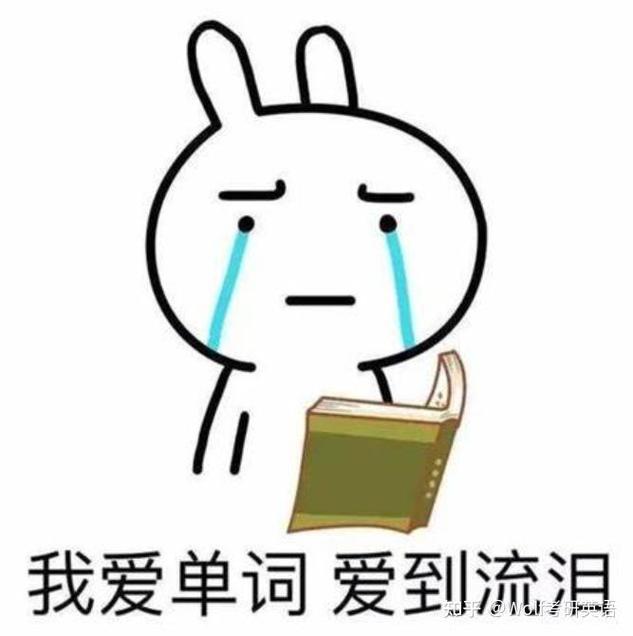 我爱背单词官方版下载截图
