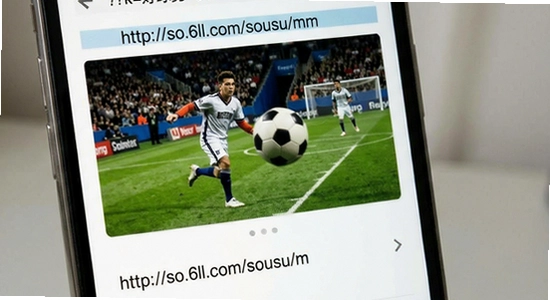 http://so.6ll.com/sousuo/m/?k=���������װʧ��