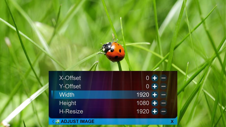 Zoom Player FREE�ٷ������ؽ�ͼ