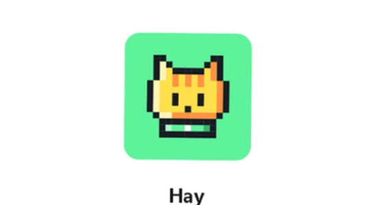 Hay��׿�� ϵͳҪ�� ������