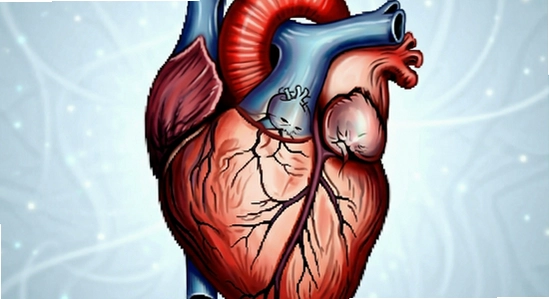 https://www.6ll.com/images/heartlink_01.jpg