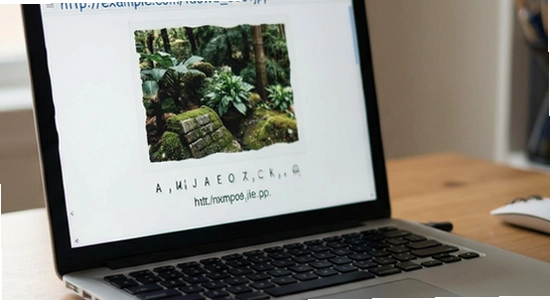 http://example.com/taowu_003.jpg
