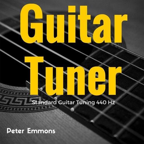 AP Guitar Tuner���԰�����v6.3.1 �ٷ�����