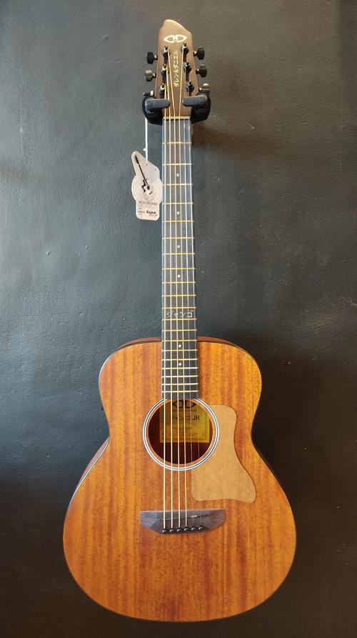 AP Guitar Tuner���԰�����v6.3.1 �ٷ�����