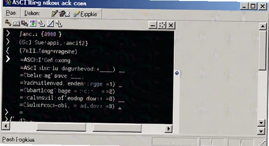 ASCII��ת���� ����ת�� ʹ�ý̳�