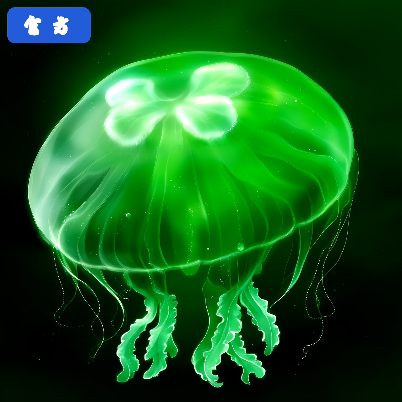 eggjelly�ٷ���׿���������v2.5 ���°�